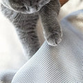 Free-Standing Pet Hammock Bed | Elevated Cat & Dog Lounger