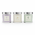 Luxury Scented Candle Set - 3 Pack Aromatherapy featuring Lavender Calm, Vanilla Bliss, and Eucalyptus Revive.